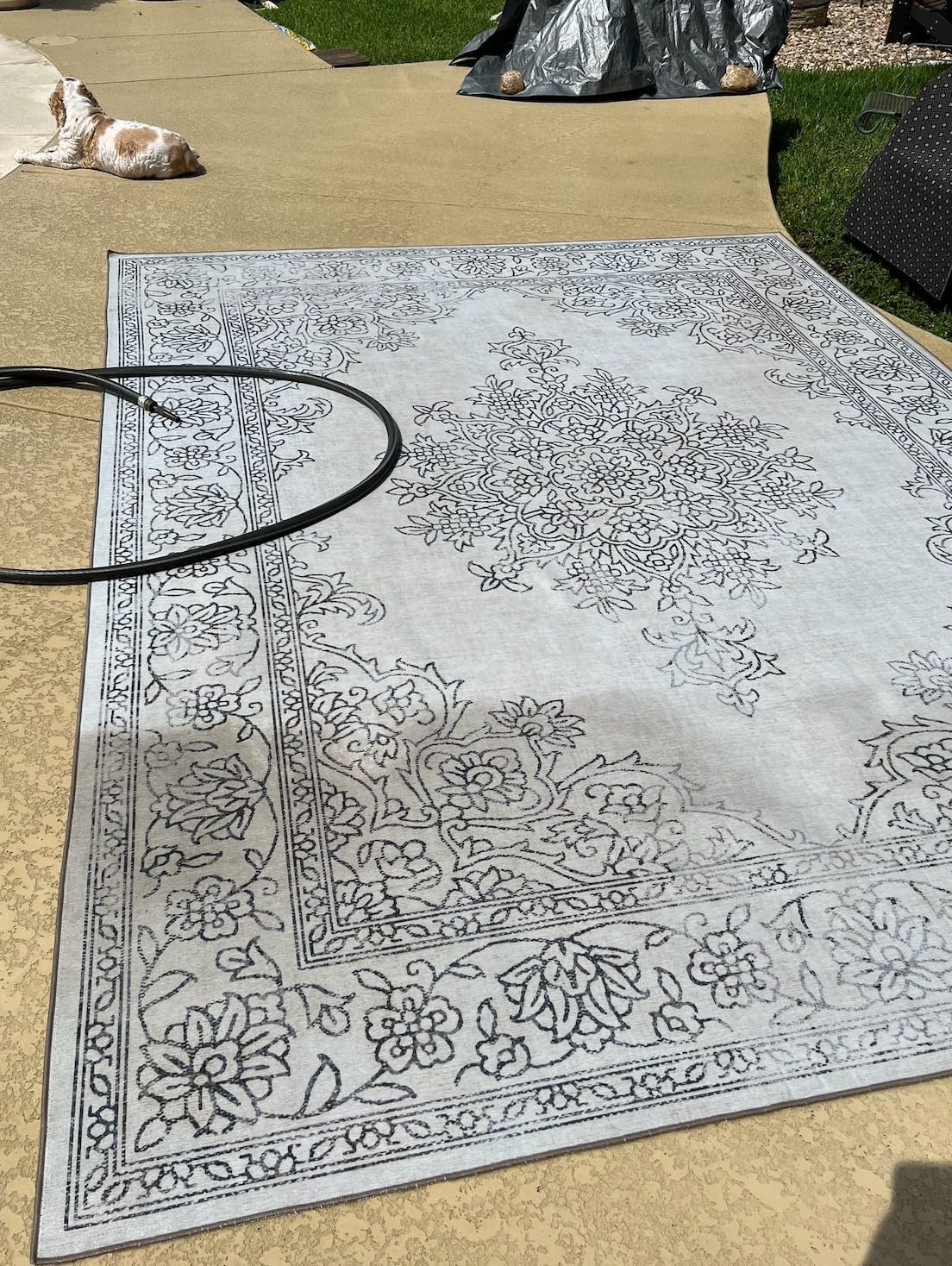 ReaLife Rugs Machine Washable Area Rug - Stain Resistant, Non-Shed - Eco-Friendly, Non-Slip, Family & Pet Friendly - Made from Premium Recycled Fiber - Vintage Bohemian Medallion - Beige Ivory, 3' x 5' customer photo 2
