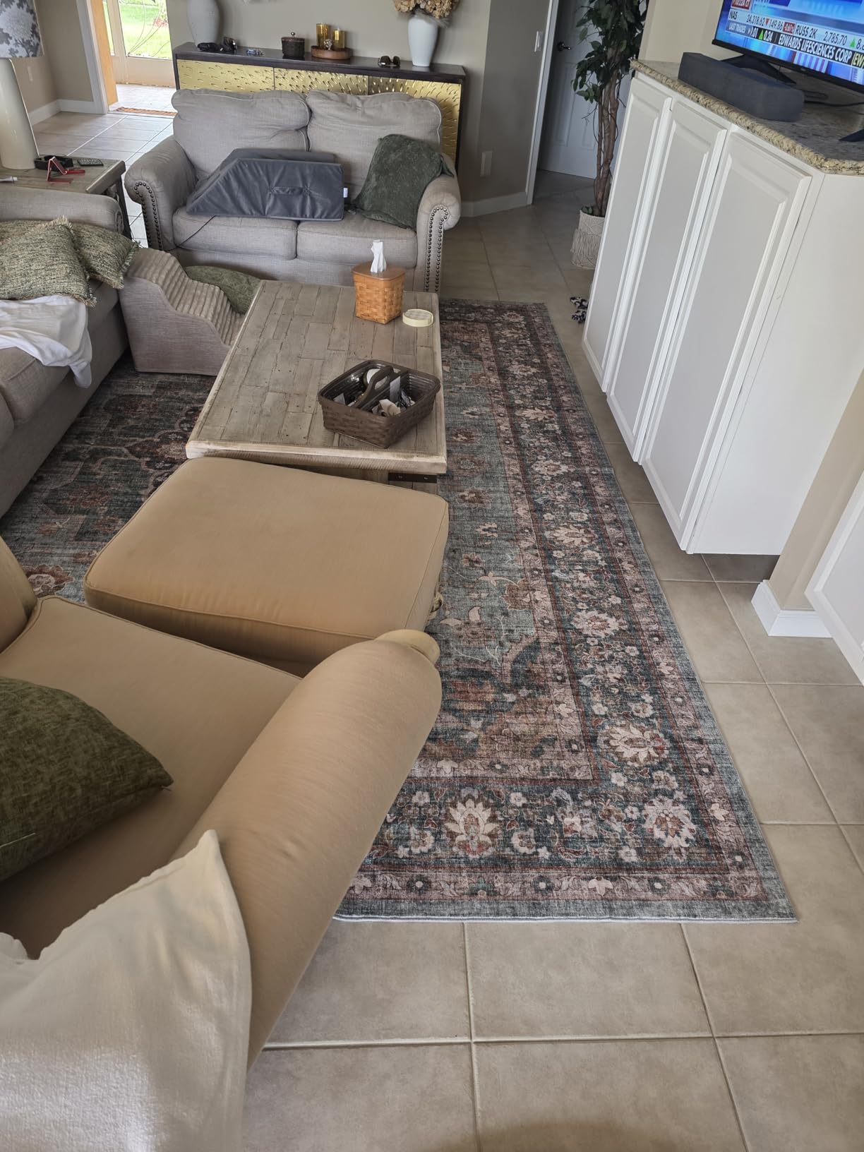 TOPRUUG Washable Oriental Area Rug - 9x12 Rugs for Living Room Soft Carpet for Bedroom Waterproof Floral Distressed Indoor Stain Resistant Non-Shedding Floor Carpets (Beige, 9x12) customer photo 1