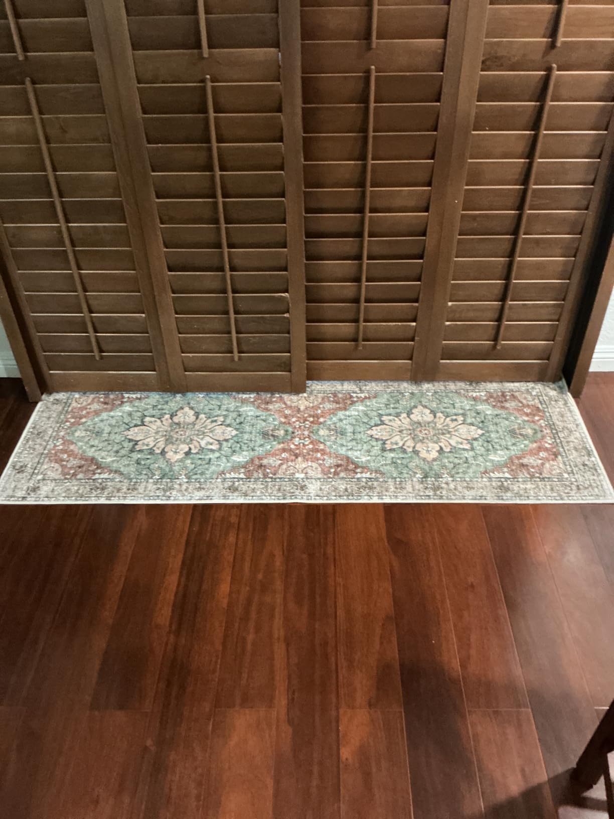 RELEANY Area Rugs 5'x7' Washable Non-Slip, Floral Vintage Distress Medallion Carpet for Living Room Bedroom Dining Room, Terracotta Burnt Orange Green customer photo 1
